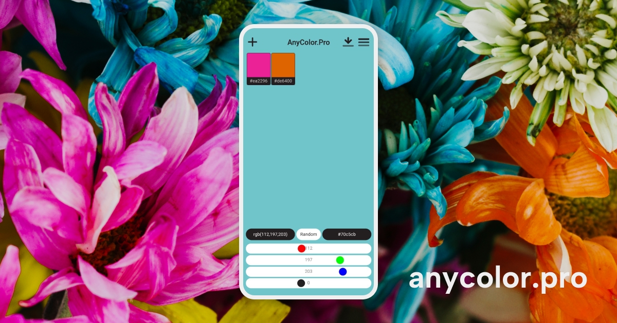 Discover Your Perfect Color with AnyColor